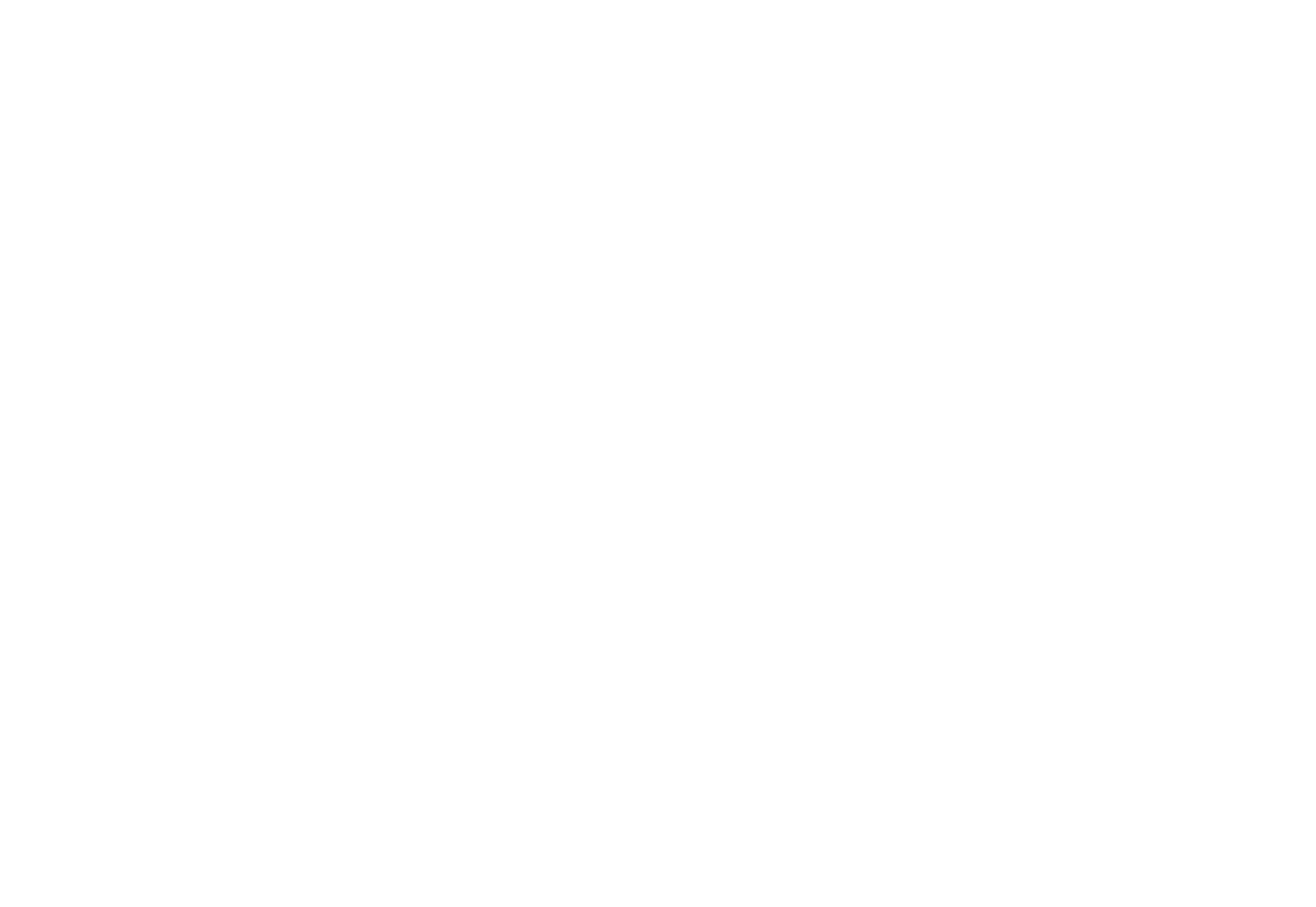 Allegra A logo - white